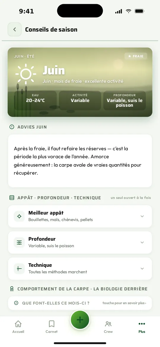 Que fait la carpe en ce moment ?